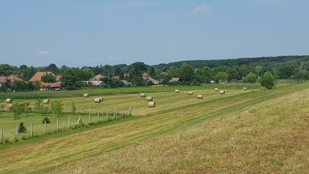 Vila Casa Lyna Gyomaendrőd Exteriér fotografie